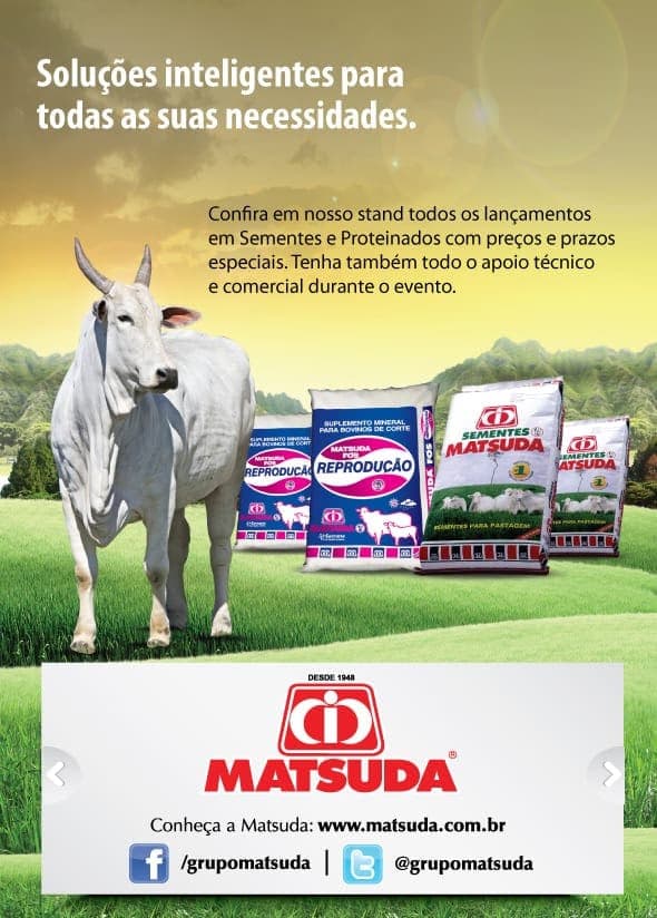 Variados - Imagem 66