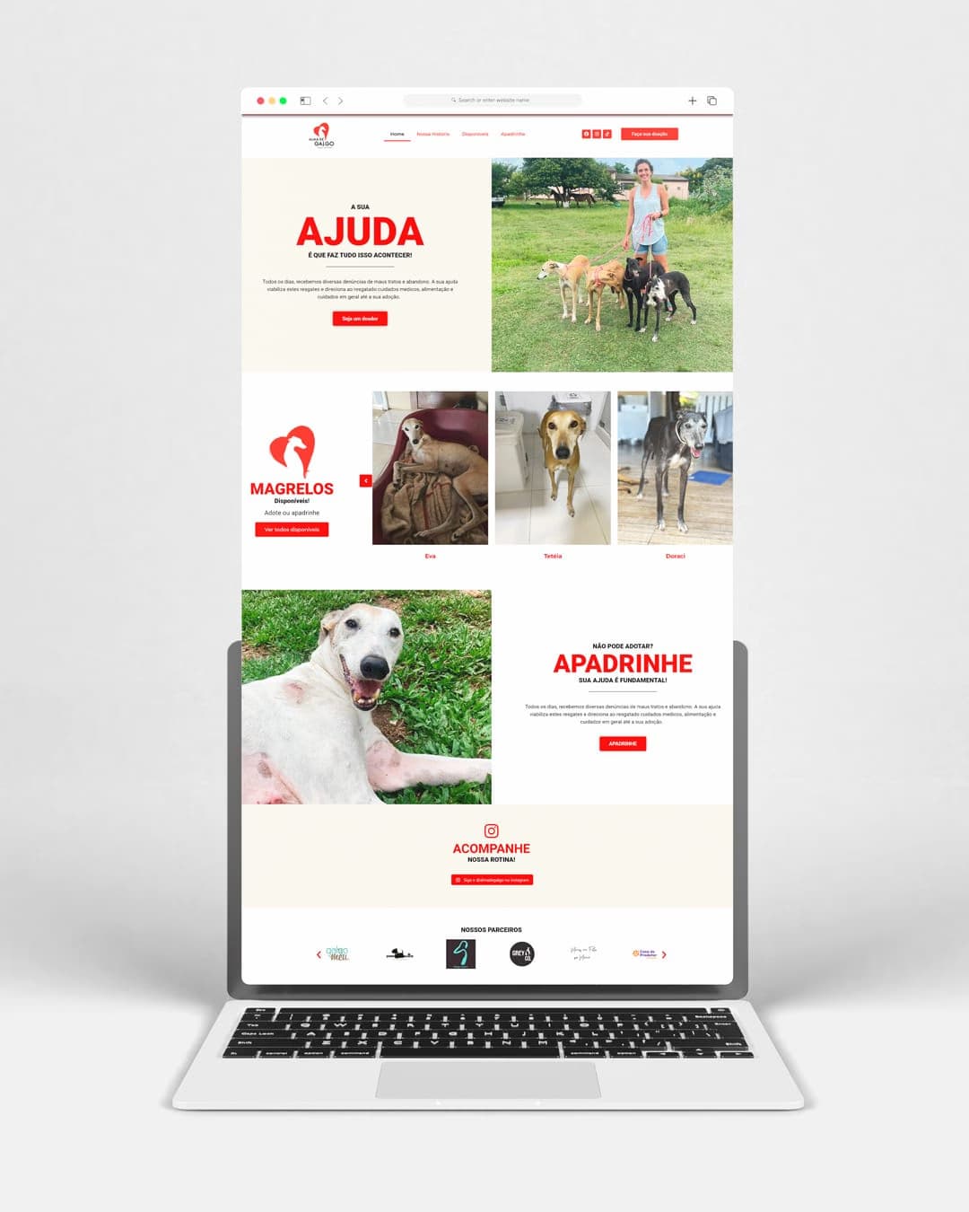 Diversos - Imagem 13