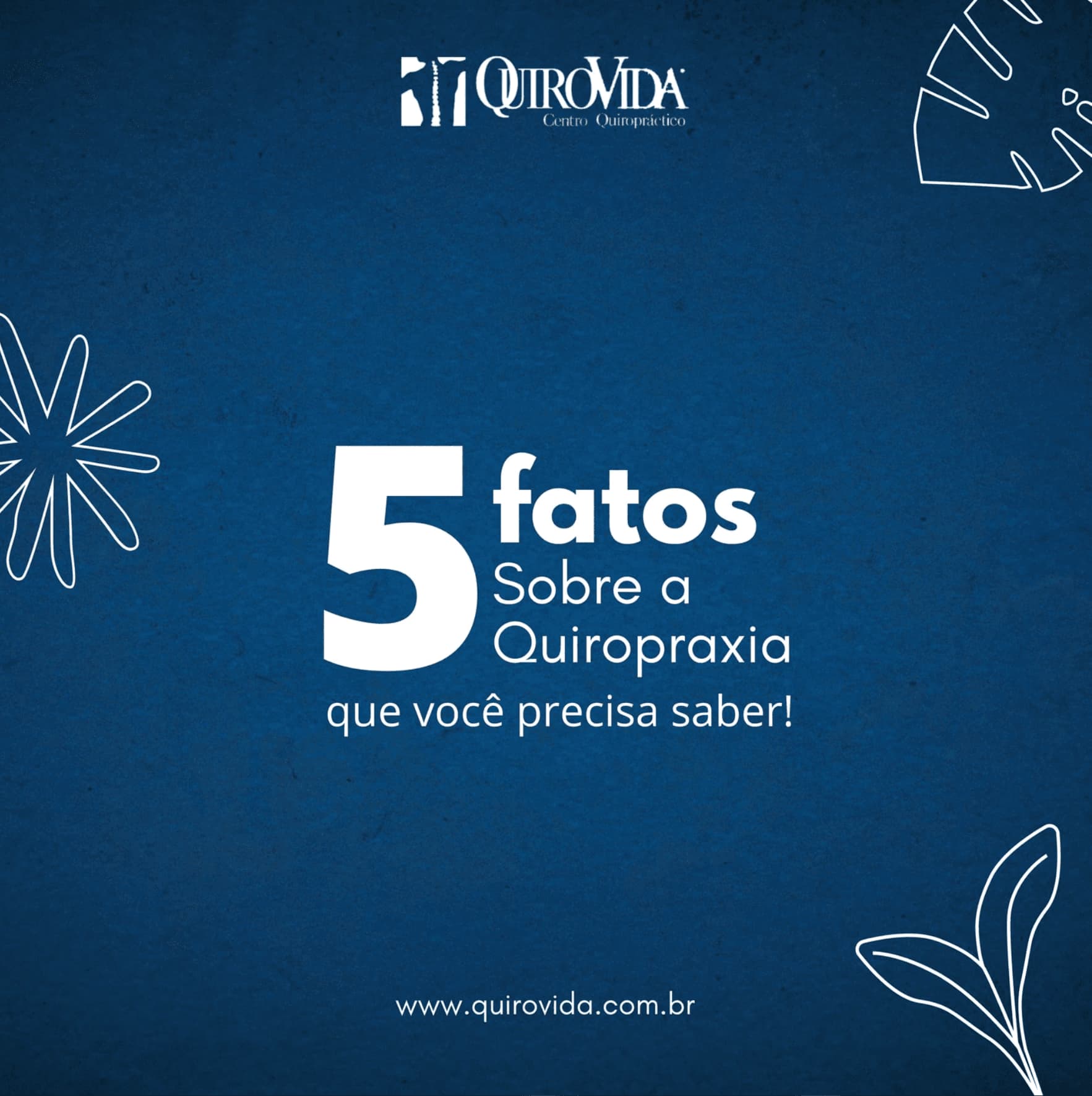 Diversos - Imagem 12