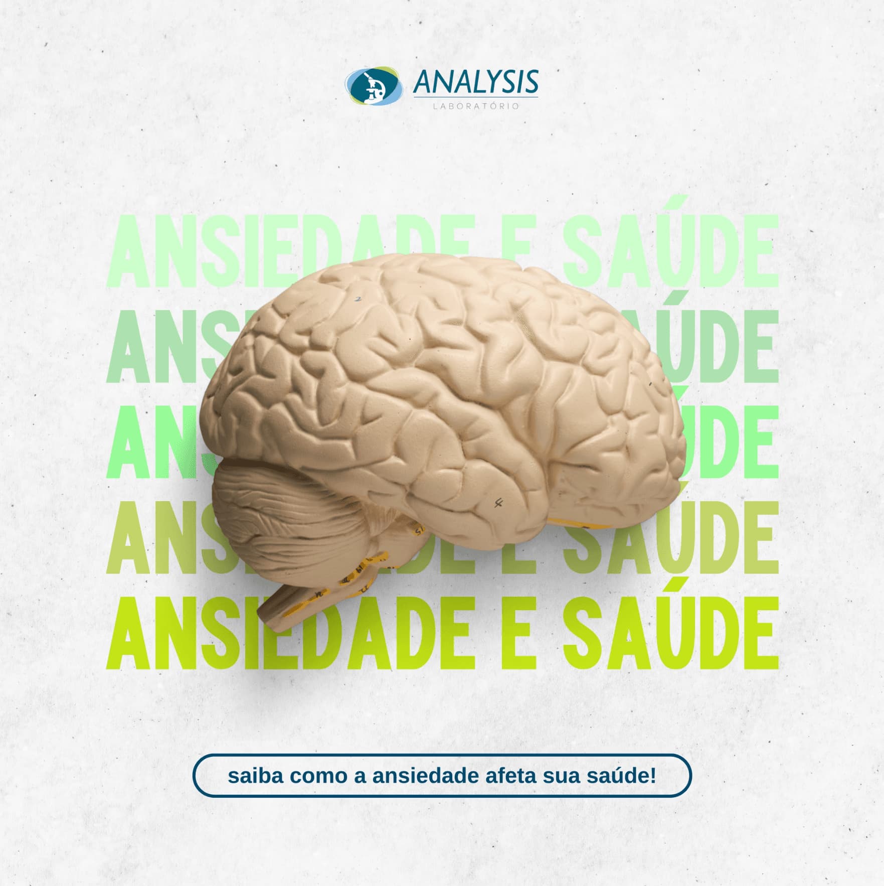 Diversos - Imagem 15